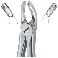 English Pattern- obere Molaren<BR>uper molars<BR>molaires superieures<BR>molares superiores