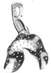Impression trays
